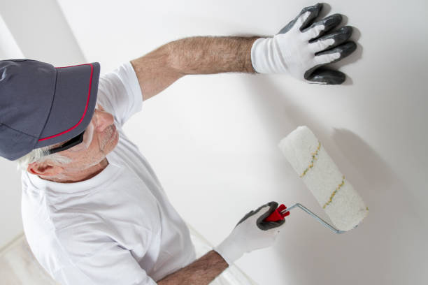 Best Environmental Consulting for Mold Prevention  in Montesano, WA
