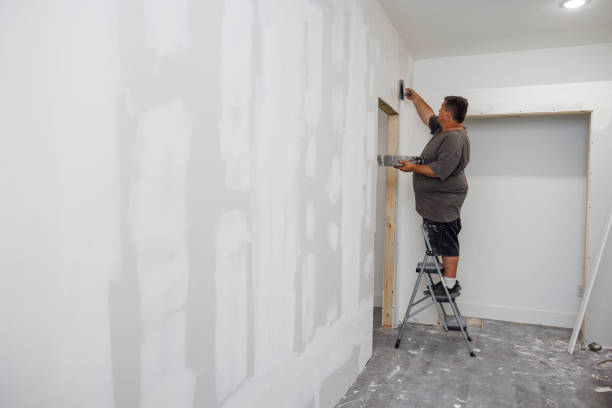Best Emergency Mold Remediation  in Montesano, WA