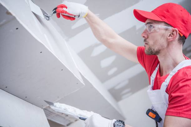 Best Attic Mold Removal  in Montesano, WA